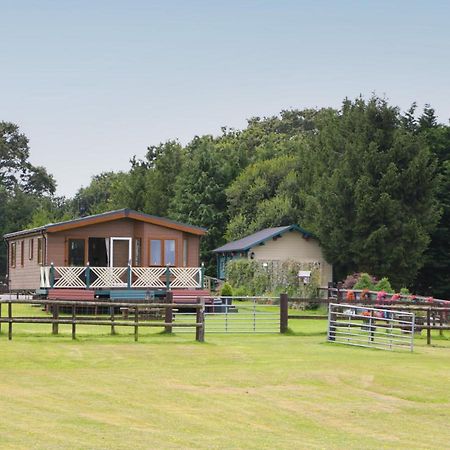 Hill View, Lilac Lodge Wareham Exteriör bild